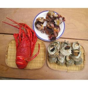 ふるさと納税 下田市 【伊豆の恵み4品(3種)　Fセット】ボイルサザエ・味噌汁用カット伊勢海老・蒸し...