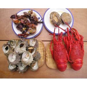 ふるさと納税 下田市 【伊豆の恵み4種　大盛り】ボイルサザエ・味噌汁用カット伊勢海老・あわび味噌漬・...