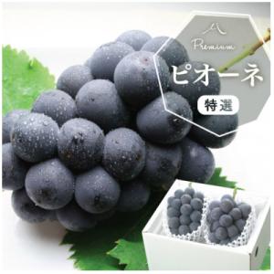 ふるさと納税 2026年先行予約 花笑み農園ニューピオーネ&シャイン