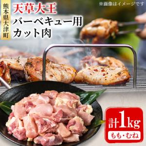ふるさと納税 大津町 【幻の地鶏】天草大王　バーベキュー用カット肉