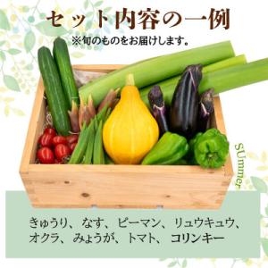 ふるさと納税 須崎市 新鮮な朝採れ 野菜 セッ...の詳細画像1