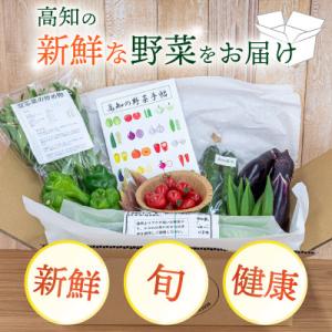 ふるさと納税 須崎市 新鮮な朝採れ 野菜 セッ...の詳細画像3