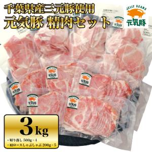 ふるさと納税 多古町 【農場直送】千葉県産三元豚　元気豚 精肉セット 3kg