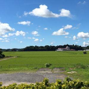 ふるさと納税 多古町 嵐の湯(薬石浴)入浴チケ...の詳細画像1