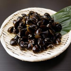 ふるさと納税 網走市 【網走湖産】　大粒　天然大和しじみ　2kg(500g×4)