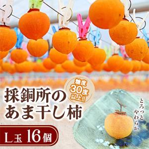 ふるさと納税 香春町 (2026年秋発送、先行受付)糖度30度以上!!採銅所のあま干し柿