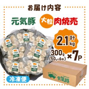 ふるさと納税 多古町 【千葉県産三元豚】元気豚...の詳細画像3