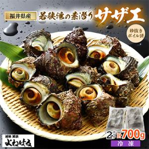 ふるさと納税 美浜町 大人気☆活サザエをそのままボイルしました!若狭湾の素潜りサザエ700g(350...