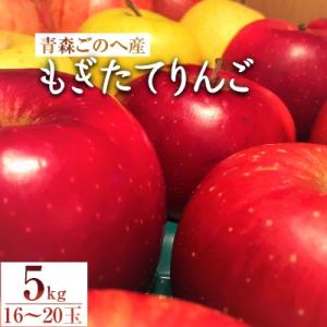 ふるさと納税 五戸町 【青森ごのへ産】 もぎたてりんご 5kg(16〜20玉)