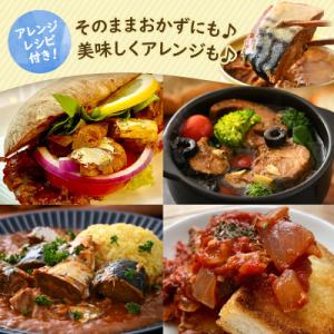 ふるさと納税 小浜市 鯖缶詰12缶 A(醤油・...の詳細画像3