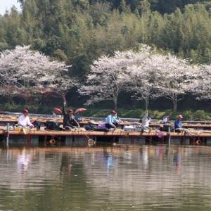 ふるさと納税 旭市 旭市長熊釣堀センター入場券　(3枚)
