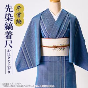 ふるさと納税 白山市 【牛首紬】先染縞着尺(お仕立て上がり)