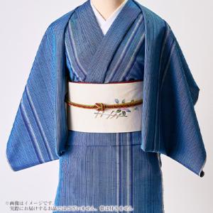 ふるさと納税 白山市 【牛首紬】先染縞着尺(お...の詳細画像3