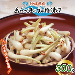 ふるさと納税 嘉手納町 島らっきょうの塩漬け300g