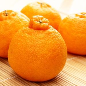 ふるさと納税 湯浅町 和歌山有田の濃厚デコポン 15〜24玉(約5kg)
