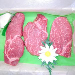 ふるさと納税 榛東村 上州牛ヒレステーキ3枚入り(合計450g)