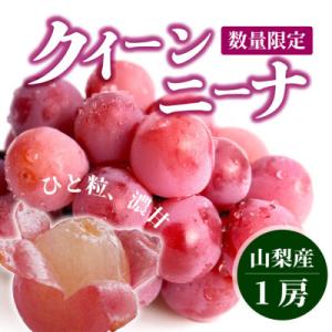 ふるさと納税 山梨市 【数量限定】希少品種!『クイーンニーナ 1房』ぶどうの赤い宝石。山梨県産の注目品種でおすすめ