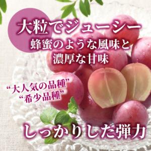ふるさと納税 山梨市 【数量限定】希少品種!『...の詳細画像2