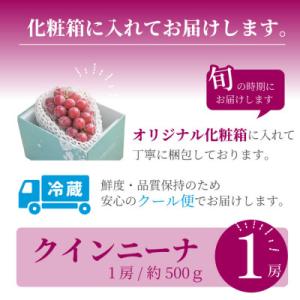 ふるさと納税 山梨市 【数量限定】希少品種!『...の詳細画像3