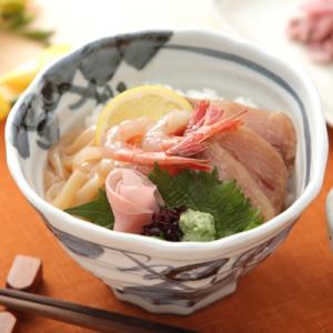 ふるさと納税 七尾市 北陸 海鮮づけ丼の具セット