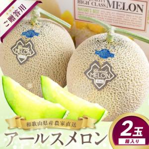 ふるさと納税 御坊市 農家直送!和歌山県御坊市産アールスメロン1.4kg〜1.6kg 2玉