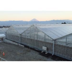 ふるさと納税 南アルプス市 食べ出したら止まら...の詳細画像3