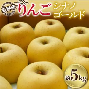 ふるさと納税 飯田市 長野県産 りんご「シナノゴールド」約5kg 【2025年10月より発送】