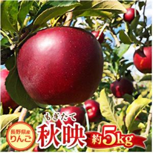 ふるさと納税 南箕輪村 もぎたて『秋映』りんご　約5kg