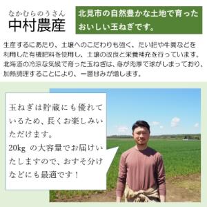 ふるさと納税 北見市 【2026年9月下旬以降...の詳細画像3