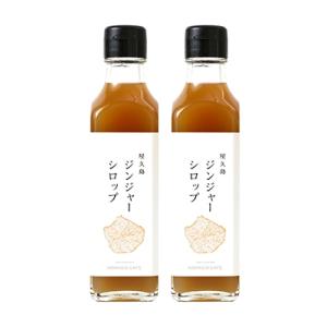 ふるさと納税 屋久島町 屋久島ジンジャーシロップ　200ml×2本セット