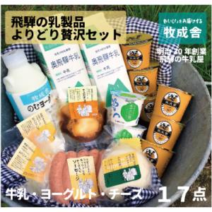 ふるさと納税 飛騨市 明治30年創業の牛乳屋「牧成舎」飛騨の贅沢乳製品セットC