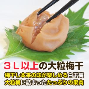 ふるさと納税 御坊市 昔ながらのしょっぱい梅干...の詳細画像1