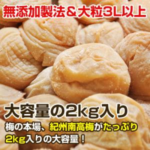 ふるさと納税 御坊市 昔ながらのしょっぱい梅干...の詳細画像2