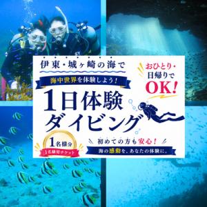 ふるさと納税 伊東市 おひとり・日帰りでOK! 伊東・城ヶ崎の海で1日体験ダイビング