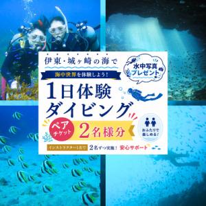 ふるさと納税 伊東市 親子で、カップルで! ペアチケット〜伊東・城ヶ崎の海で1日体験ダイビング(水中...