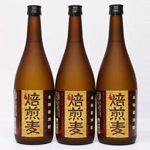 ふるさと納税 あさぎり町 球磨焼酎　堤酒造　焙煎麦 720ml×3本
