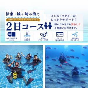 ふるさと納税 伊東市 伊東・城ヶ崎の海で初級ダイビングライセンスが取得できる　2日コース