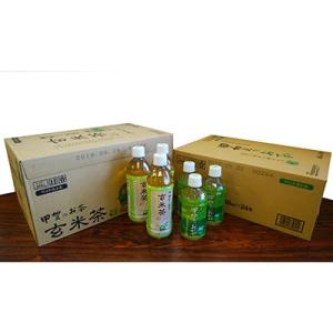 ふるさと納税 甲賀市 甲賀のお茶ペットボトル(緑茶・玄米茶)2箱