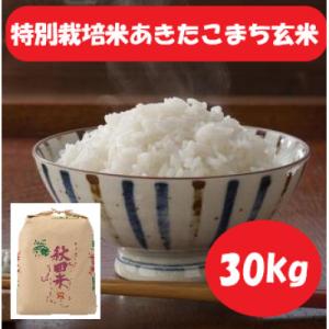 ふるさと納税 横手市 【令和7年産】＜愛和自然農法研究会＞特栽米あきたこまち玄米30kg(1等級)