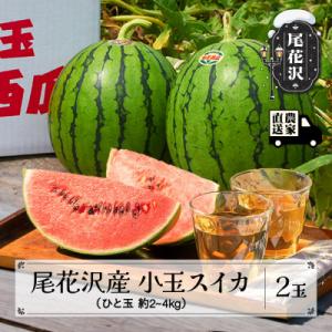 ふるさと納税 尾花沢市 【先行受付】尾花沢産小玉スイカ(約2〜4kg)×2玉 令和8年産 観光物産 kb-sukxx2-7b