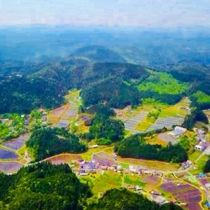 ふるさと納税 八百津町 山ちゃんの無添加・ノン...の詳細画像3