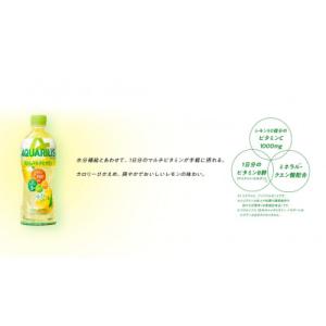 ふるさと納税 基山町 アクエリアス1日分のマル...の詳細画像2