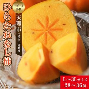 ふるさと納税 天理市 【R8年10月以降発送】刀根早生柿発祥の地・天理市のひらたねなし柿(L〜3Lサ...