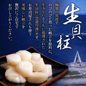ふるさと納税 稚内市 帆立 生 貝柱 1kg ...の詳細画像1