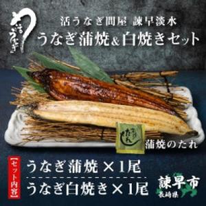 ふるさと納税 諫早市 【諫早淡水】 うなぎ蒲焼...の詳細画像1