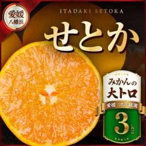 2027年1月分予約 愛媛産 味ピカ 小太郎みかん 2kg 30個〜50個 化粧箱入
