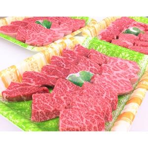 ふるさと納税 土佐町 土佐あかうし肩ロース焼肉用(約800g)【zn189】