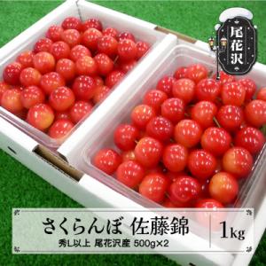 ふるさと納税 尾花沢市 先行受付 さくらんぼ 佐藤錦 500g×2 1kg 秀Lサイズ以上 山形県尾...