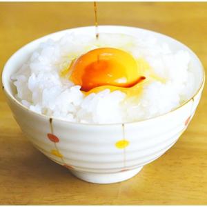 ふるさと納税 北栄町 鳥取県産日置さん家のお米...の詳細画像3