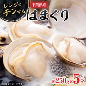 ふるさと納税 いすみ市 ”チン”するはまぐり 約250g×5パック